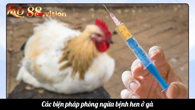 Các biện pháp phòng ngừa bệnh hen ở gà