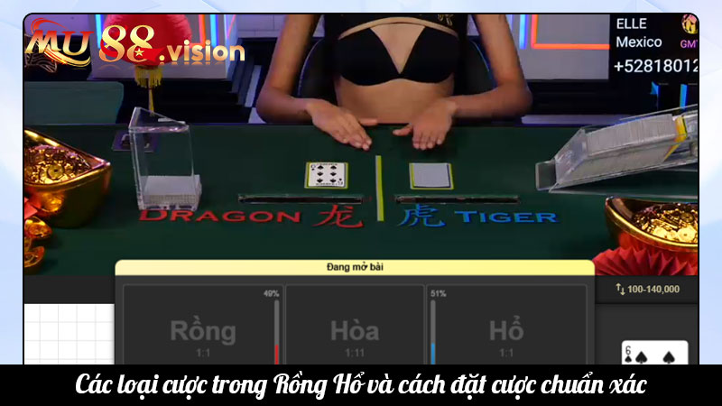 Các loại cược trong Rồng Hổ và cách đặt cược chuẩn xác