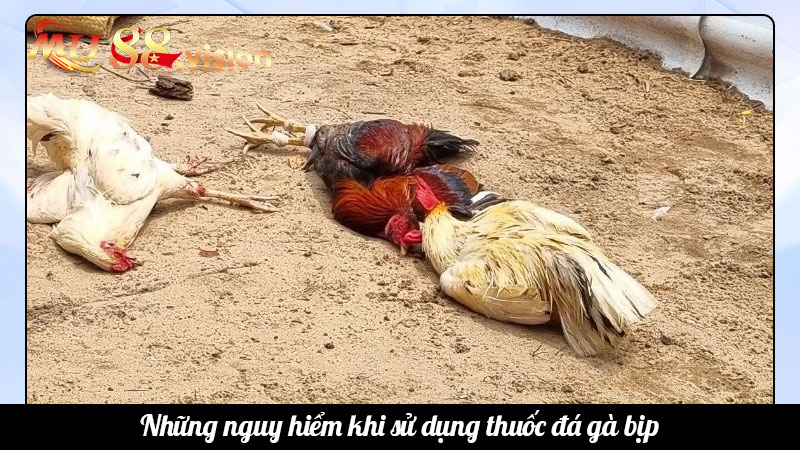 Những nguy hiểm khi sử dụng thuốc đá gà bịp