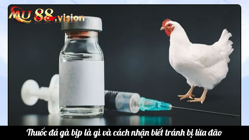 Thuốc đá gà bịp là gì và cách nhận biết tránh bị lừa đão
